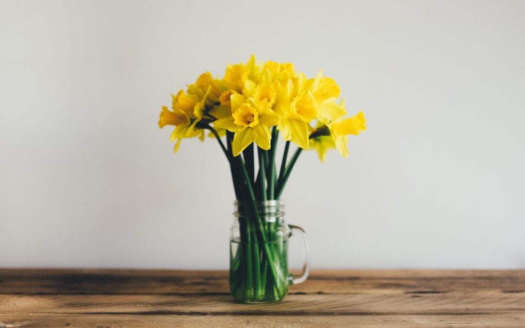A Virtual Spring Clean