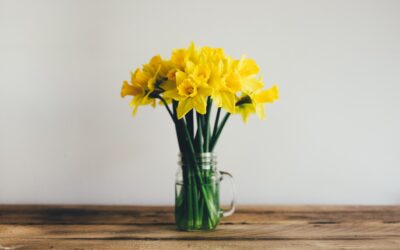 A Virtual Spring Clean