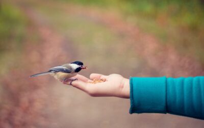 Showing you care, when it’s needed most